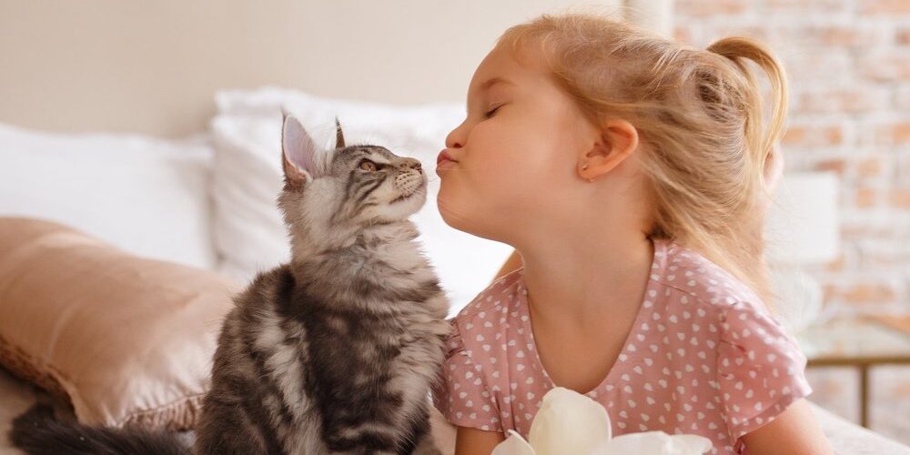 shutterstock_689876338