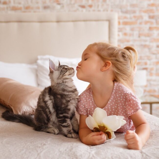 shutterstock_689876338