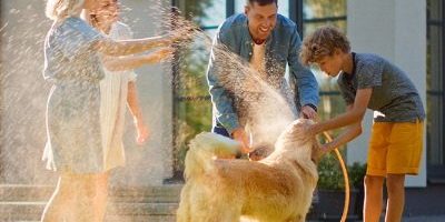 Screenshot+2023-07-17+at+8.29.48+AM