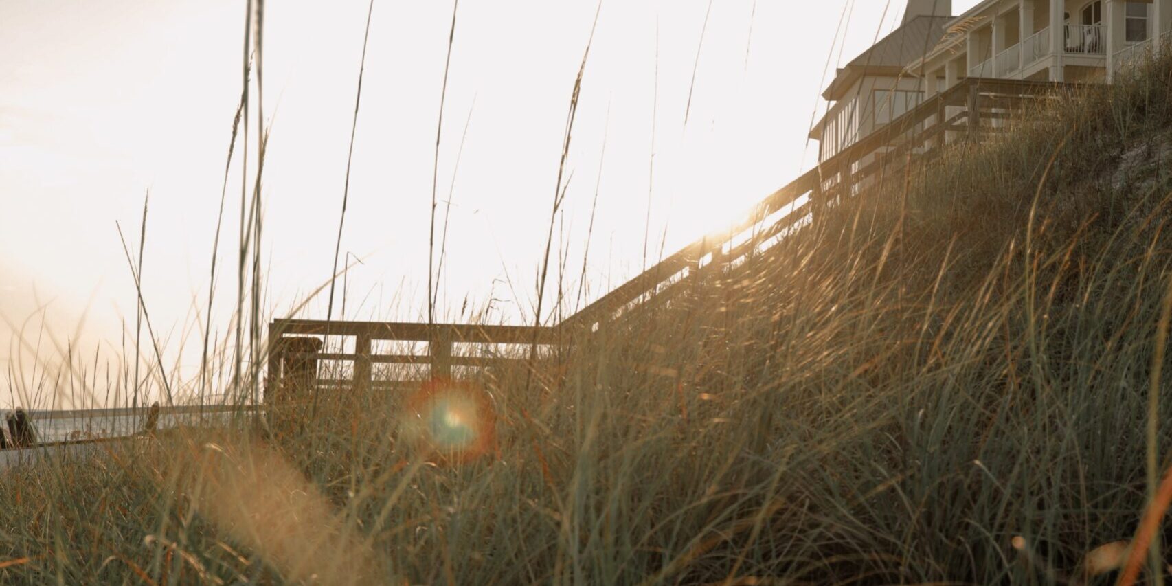 miley-guinn-wg_a4s5180A-unsplash (1)