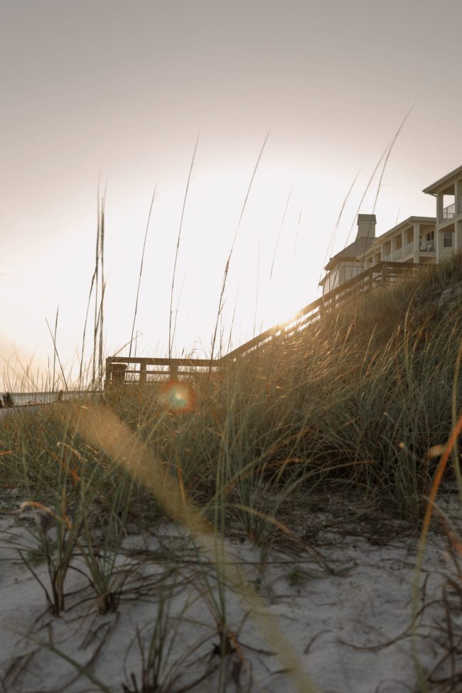 miley-guinn-wg_a4s5180A-unsplash (1)