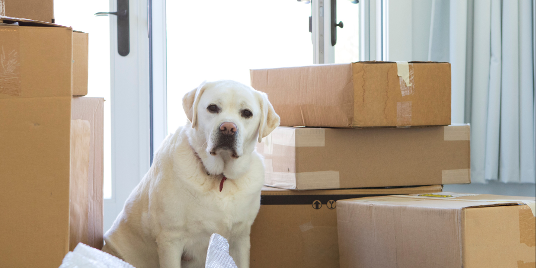 Success hits different when no one believed in you. (2)