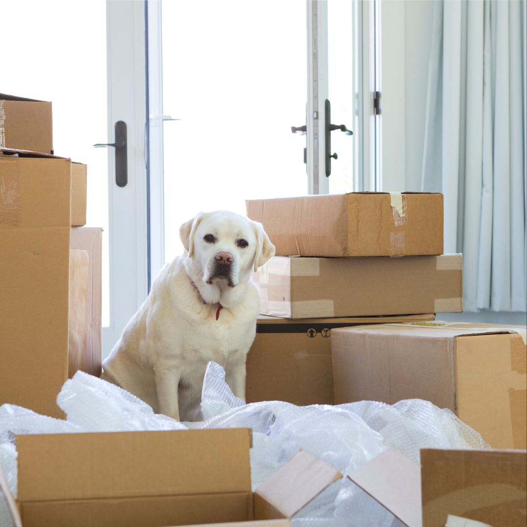 Success hits different when no one believed in you. (2)