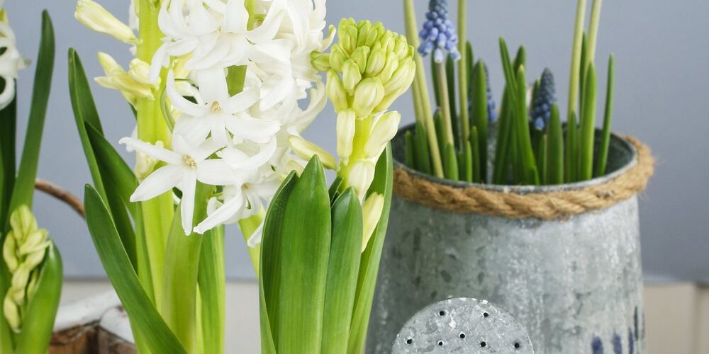 shutterstock_739748296